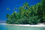 Palmenstrand auf Cook Island